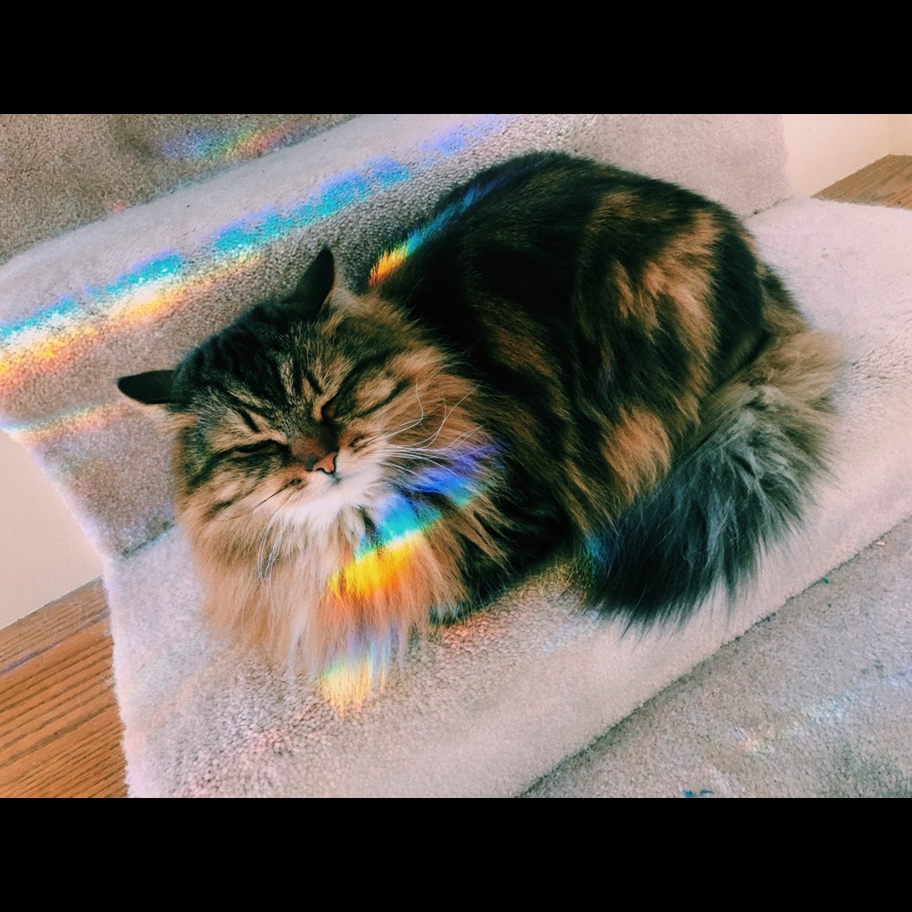 Meet your Posher, Fiona